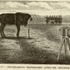 Image for article titled Aloysius, the Amazing Exploding Photo-Mule